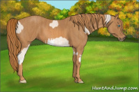 Horse Color:Perlino Sabino Brindle