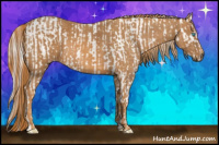 Horse Color:Cremello Sabino  Brindle