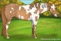 Horse Color:Perlino Sabino Brindle