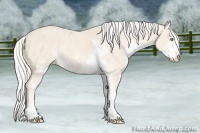 Horse Color:Cremello Sabino  Brindle