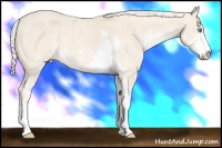 Horse Color:Cremello Sabino  Brindle