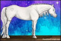 Horse Color:Cremello Dun Sabino  Brindle