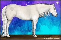 Horse Color:Cremello Sabino  Brindle