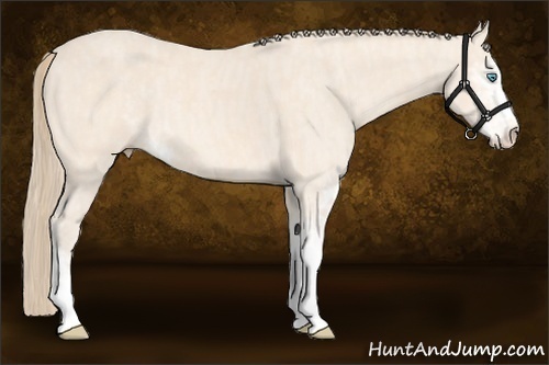 Horse Color: Perlino Sabino  Brindle
