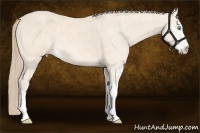 Horse Color:Perlino Sabino Brindle
