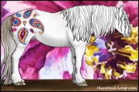 Horse Color:Gray Perlino Sabino  Brindle