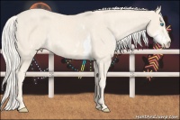 Horse Color:Cremello Sabino  Brindle