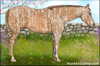 Horse Color:Smoky Creme Sabino  Brindle