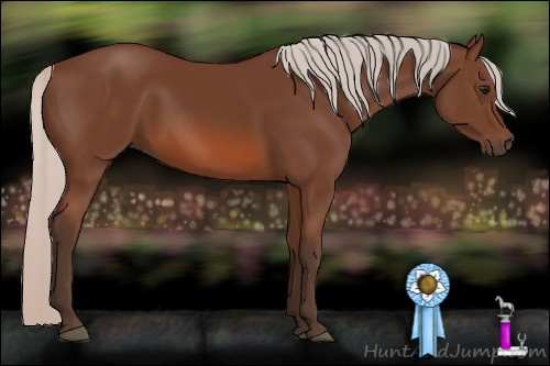 Horse Color: Silver Bay 