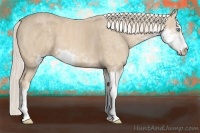 Horse Color:Cremello Sabino  Brindle