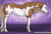 Horse Color:Chestnut Splash Frame