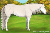 Horse Color:Perlino Sabino  Brindle