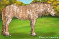 Horse Color:Perlino Sabino Brindle