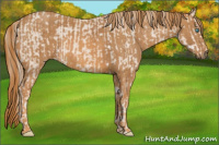 Horse Color:Smoky Creme Sabino  Brindle
