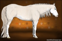 Horse Color:Perlino Sabino  Brindle