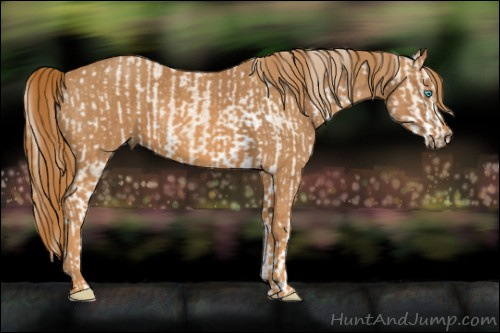 Horse Color: Perlino Sabino  Brindle