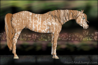 Horse Color:Perlino Sabino  Brindle