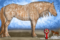 Horse Color:Cremello Sabino  Brindle