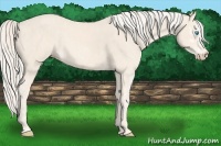 Horse Color:Cremello Sabino  Brindle