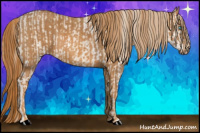 Horse Color:Perlino Sabino  Brindle