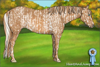Horse Color:Cremello Sabino  Brindle