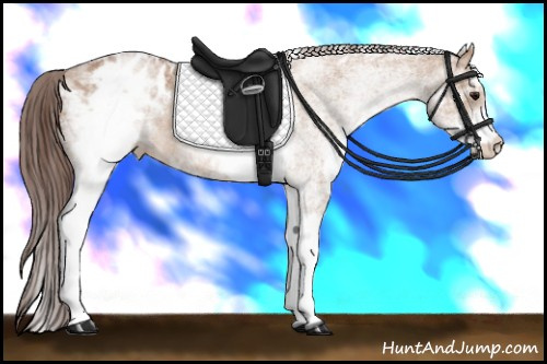 Horse Color: White Spotted Bay Dun Varnish Rabicano 