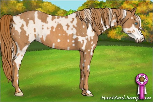 Horse Color: Cremello Sabino  Brindle