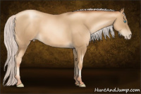 Horse Color:Gray Silver Amber Cream Champagne Pearl 