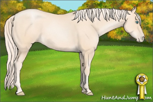 Horse Color: Gold Cream Champagne Pearl 