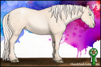 Horse Color:Gold Cream Champagne Pearl 