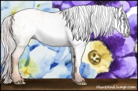 Horse Color:Gray Silver Amber Cream Champagne Roan Pearl 