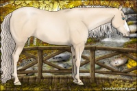 Horse Color:Gold Cream Champagne Pearl 
