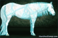 Horse Color:Thunderstruck Silver Amber Cream Champagne Pearl Near Leopard 