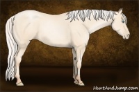 Horse Color:Silver Amber Cream Champagne Pearl 