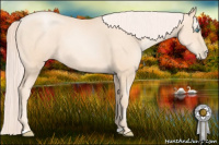 Horse Color:Gold Cream Champagne Pearl 