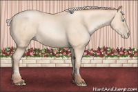 Horse Color:Silver Sable Cream Champagne Pearl 