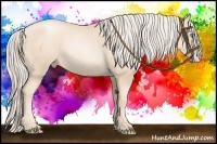 Horse Color:Gold Cream Champagne Pearl 