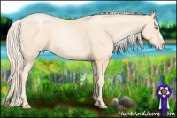 Horse Color:Gold Cream Champagne Pearl 