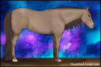 Horse Color:Classic Champagne 