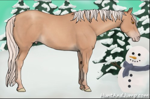 Horse Color: Silver Classic Champagne 