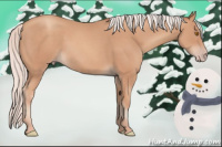 Horse Color:Silver Classic Champagne 