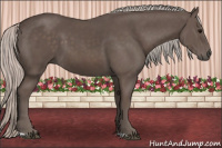 Horse Color:Silver Black 