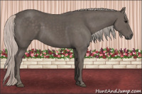 Horse Color:Silver Black 