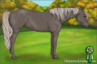 Horse Color:Silver Black 