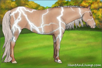 Horse Color:Silver Classic Champagne 