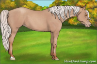 Horse Color:Silver Classic Champagne 
