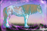 Horse Color:Thunderstruck Liver Chestnut Pearl Splash 