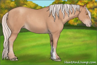 Horse Color:Silver Classic Champagne