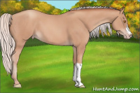 Horse Color:Silver Classic Champagne 