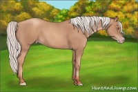 Horse Color:Silver Classic Champagne 